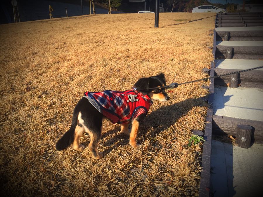rblog-20190104090407-03.jpg