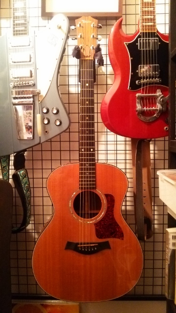 gibsonに挟まれたTaylor714