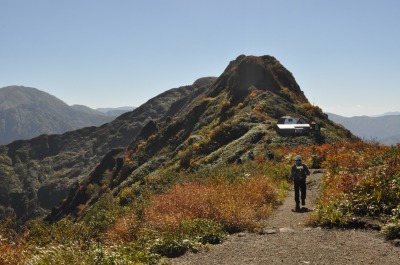 DSC_2398.jpg