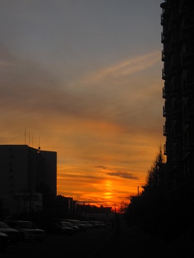 IMG_0584.JPG