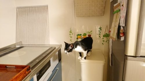 rblog-20180916152959-01.jpg