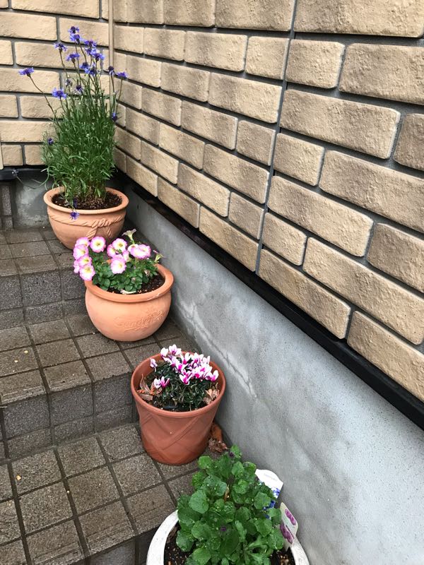 rblog-20190419194830-02.jpg