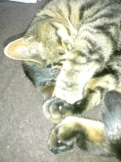 20120202-013101.jpg