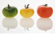 野菜３.PNG