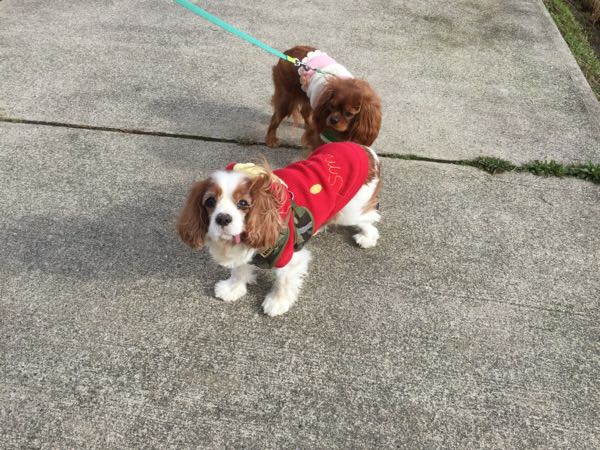 rblog-20160109170423-01.jpg