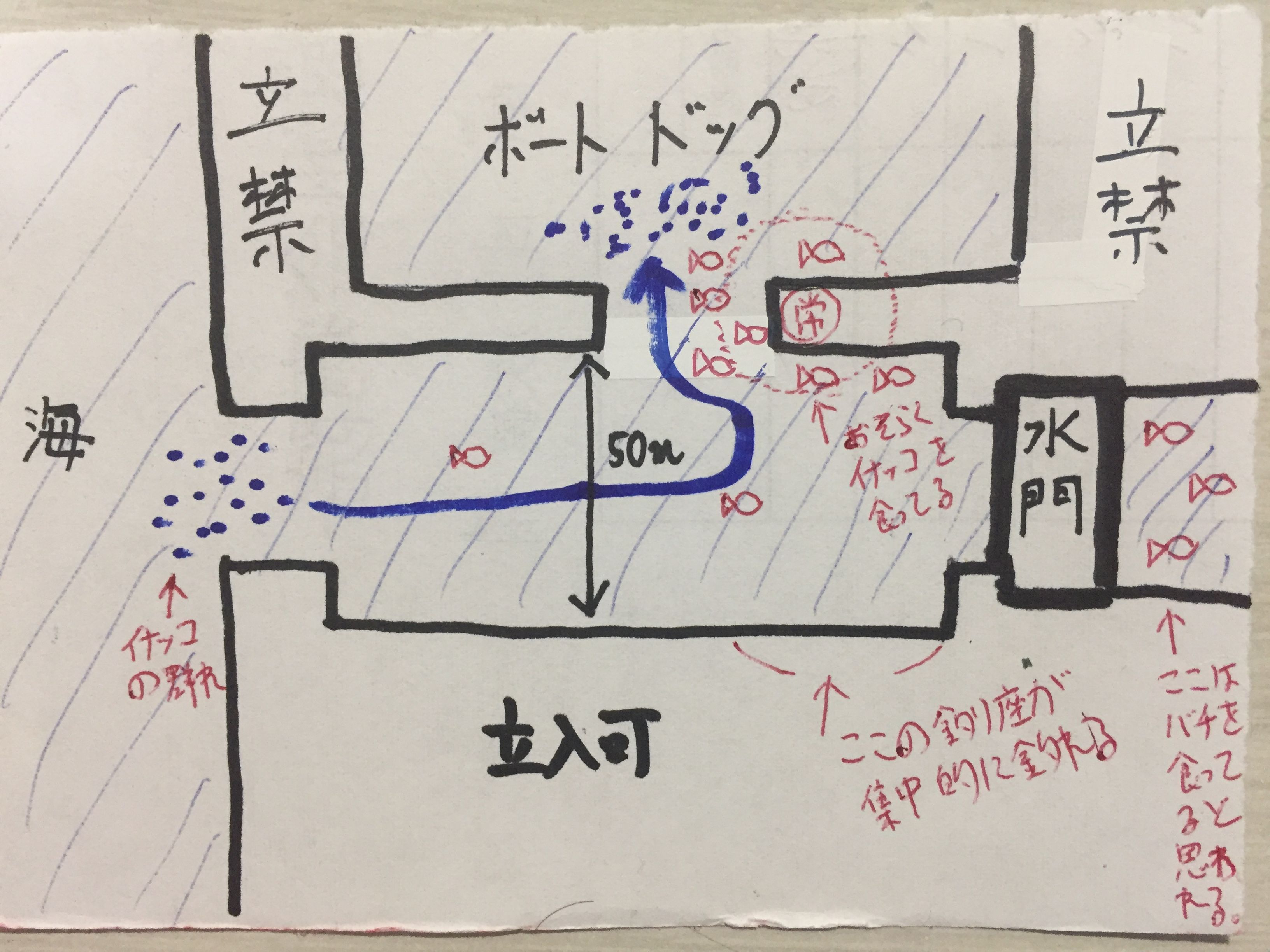 千葉市小河川シーバス ローカルパターンの一例 奥多摩トラウト 房総ソルトルアー入門 猫の保護活動もやってるよ 楽天ブログ