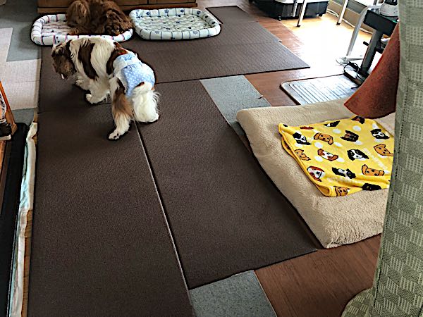 rblog-20180423141141-02.jpg