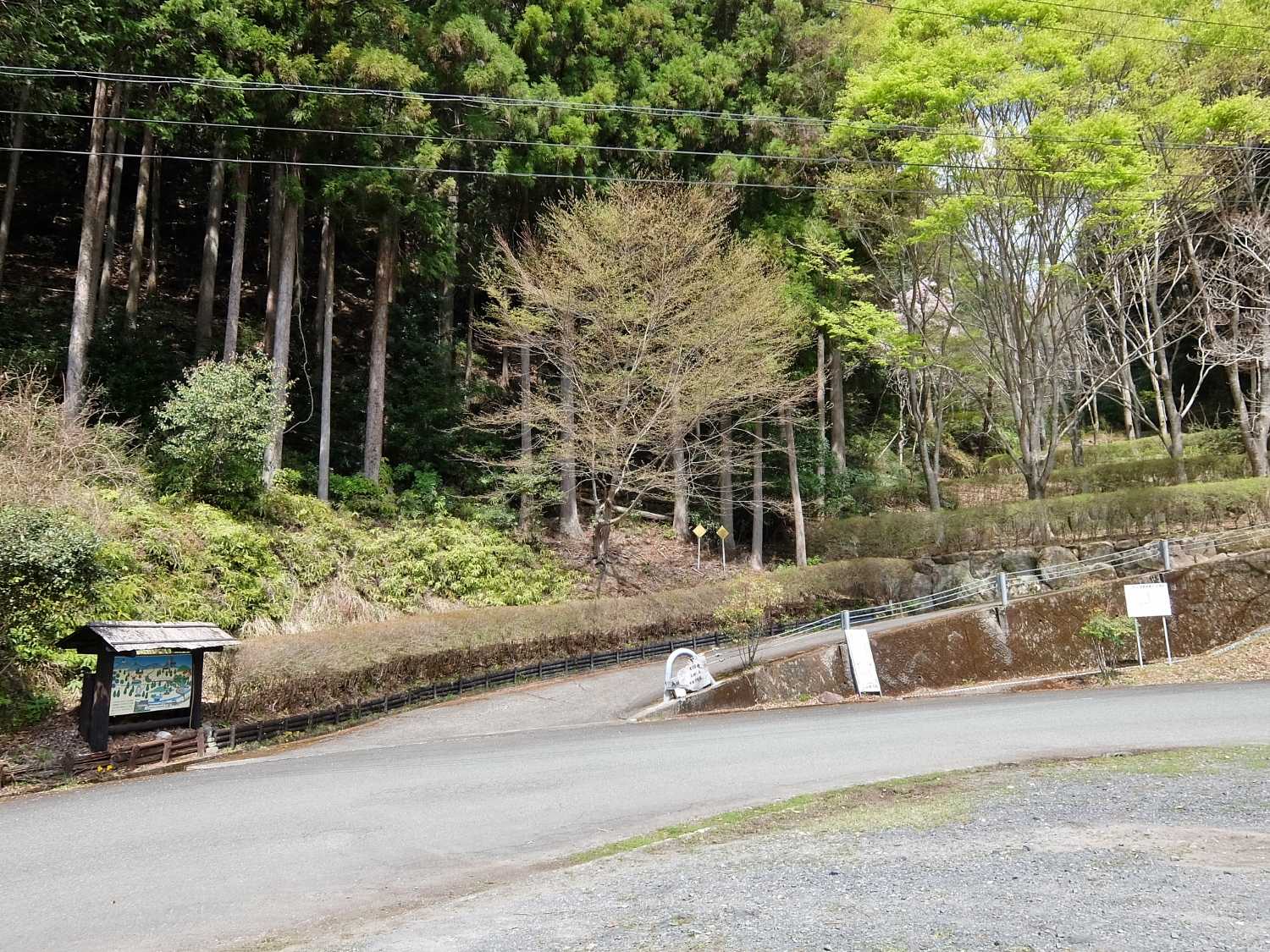 七越峰森林公園 本宮大社 桜 花見 和歌山 