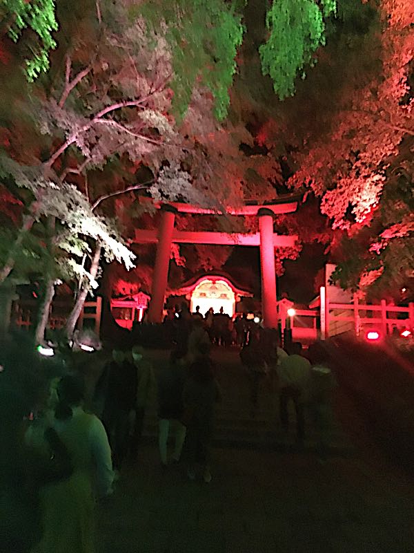 rblog-20181108213810-03.jpg