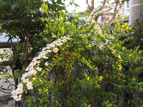 rblog-20190324174434-02.jpg