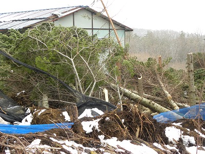DSCN8092.jpg