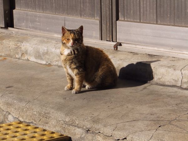 rblog-20150111154210-03.jpg