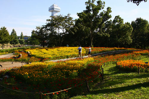 木曽三川公園　26.9.22-6_edited-1.jpg