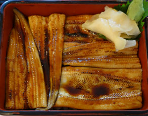 元気6.jpg