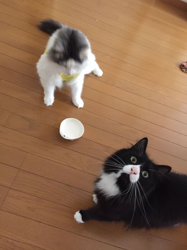 rblog-20151014123809-01.jpg