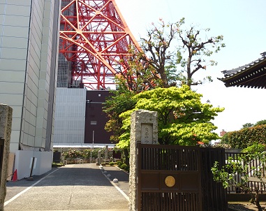 DSC_0216.jpg