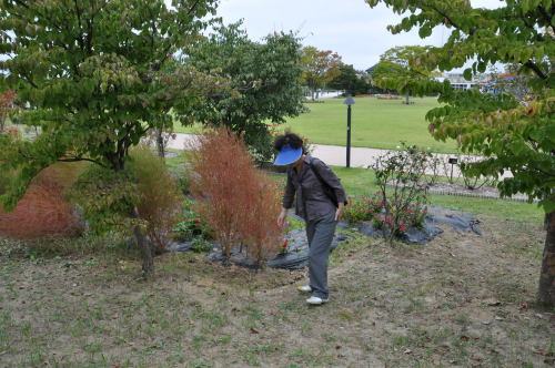 おおとぎの森公園