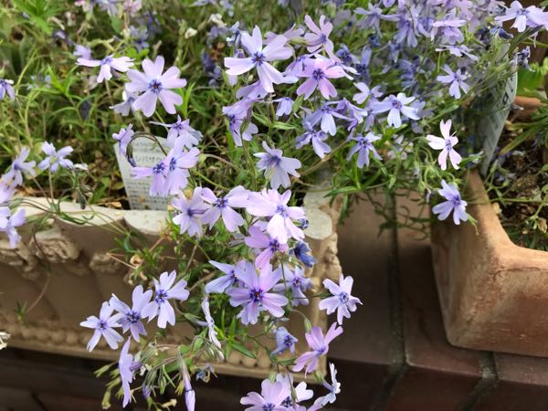 rblog-20190423182540-01.jpg