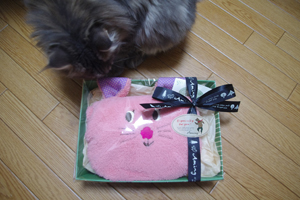 IMGP1250.JPG
