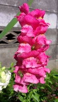 rblog-20130616161216-00.png