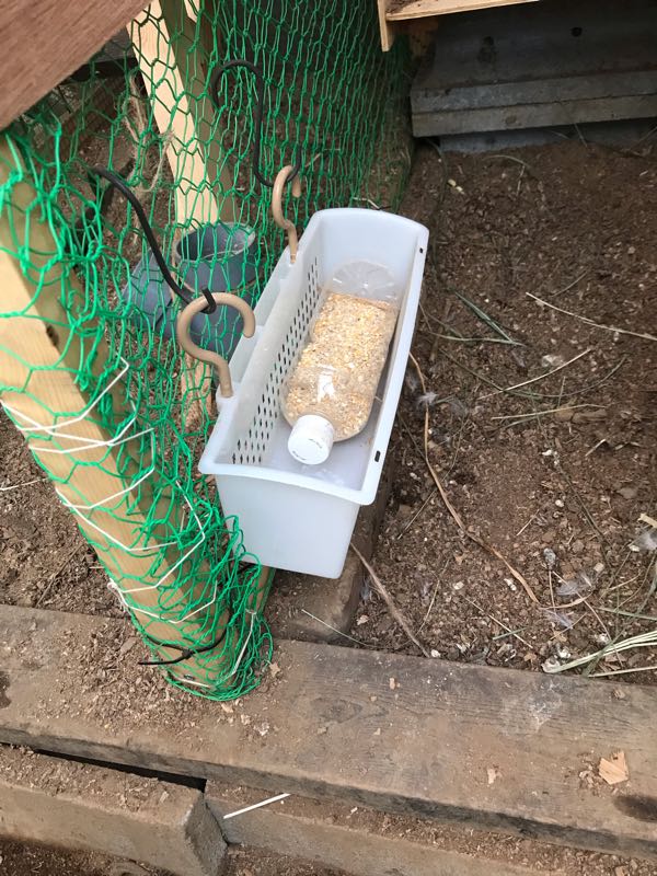 餌入れ 住宅街で鶏を飼う 楽天ブログ