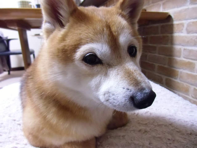 yq.jpg