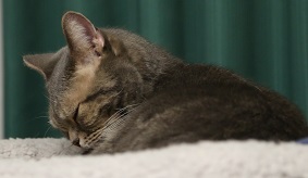 5DA_1257-12.jpg