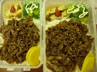 2013-1-23アップ用.jpg