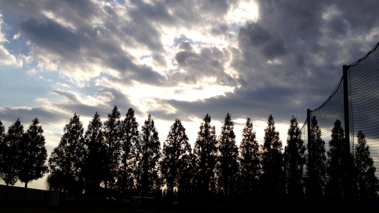 20121020オフ2