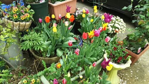 rblog-20180408004709-01.jpg
