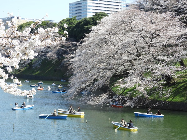 千鳥ヶ淵緑道