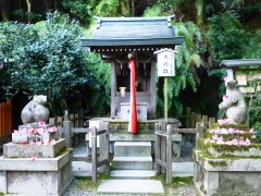 P1010439.JPG