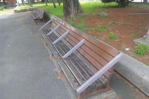 240624ベンチ.JPG