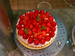 DSCN7706.jpg