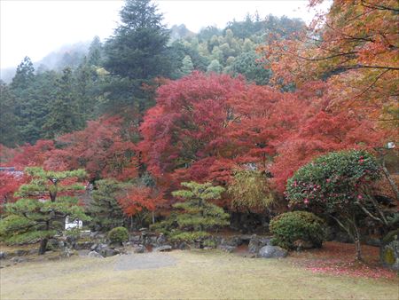 香嵐渓