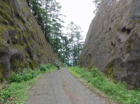 茂木林道きり通し