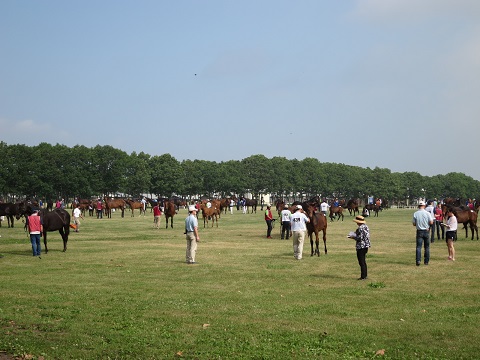 140716-2.jpg