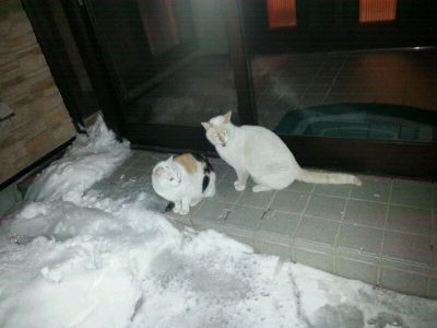 20130225_224504.jpg