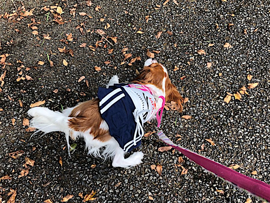 rblog-20181012224659-08.jpg
