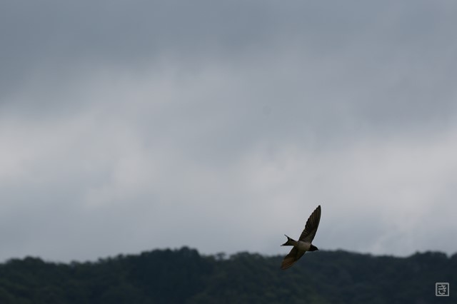 DSC05408_S.JPG