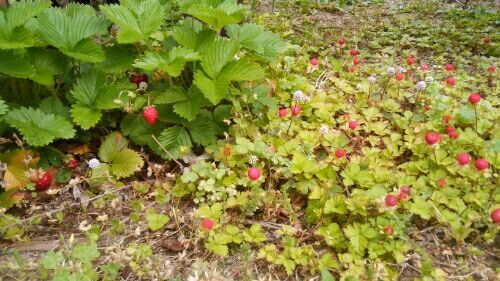rblog-20180502073845-03.jpg
