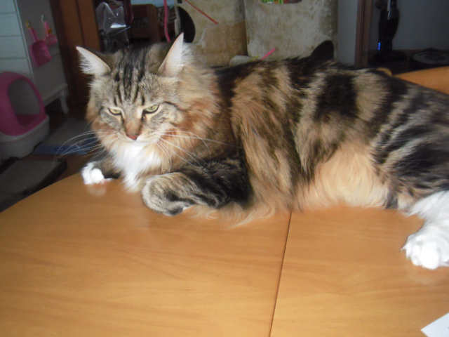 2016_03020014.JPG