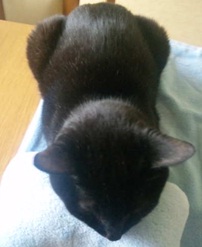 20120620_4.jpg