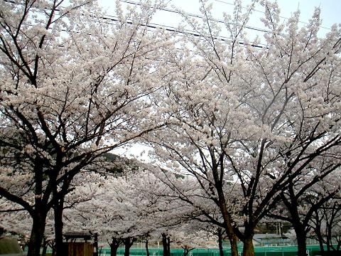 2012.04.21 024.jpg