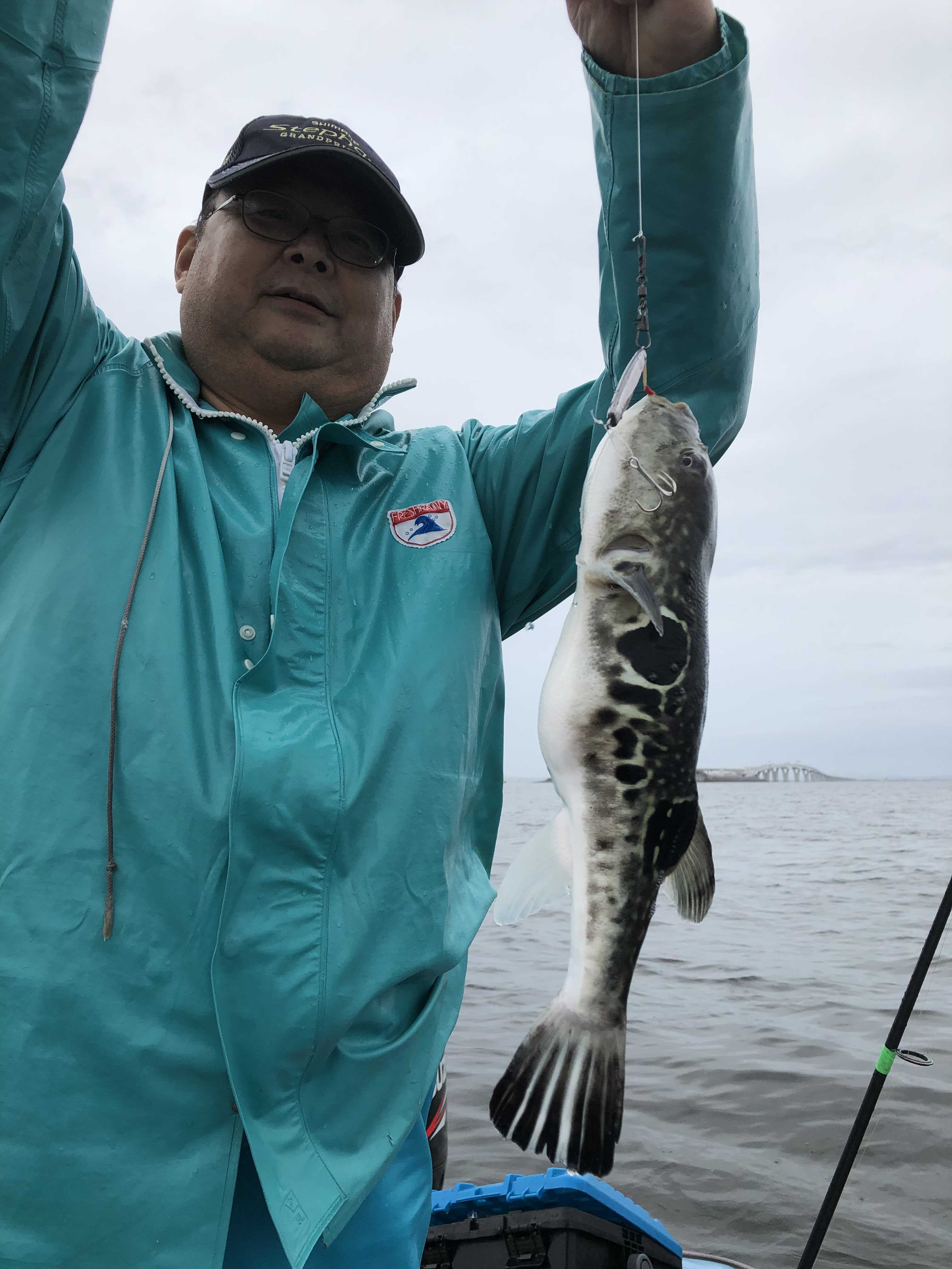 イナダ 三七丸 釣り日記 楽天ブログ