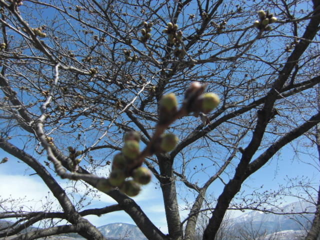 20150402-1.JPG