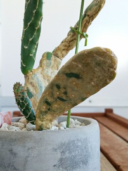rblog-20180828115230-04.jpg