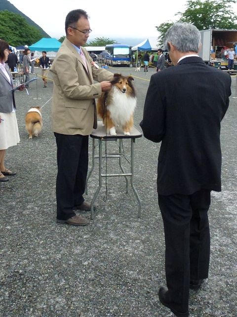 P1010377 - コピー.JPG