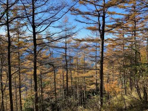 武甲山（ぶこうざん・1,304m）日本200名山（3）頂上から | 醍醐山と下部（しもべ）温泉 - 楽天ブログ