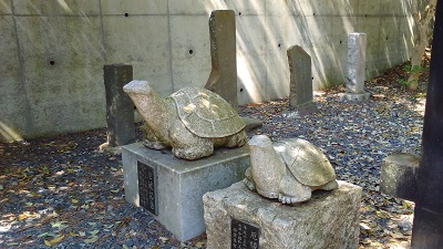 入り口の亀さんたち